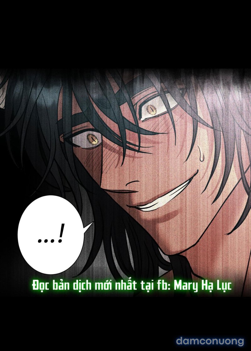 Một Lòng Một Dạ 
