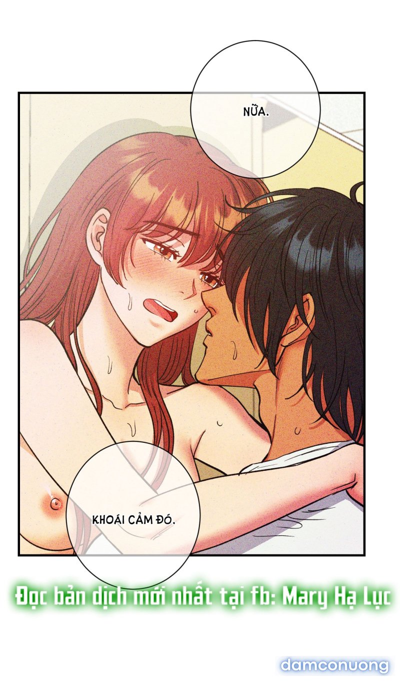 Một Lòng Một Dạ 