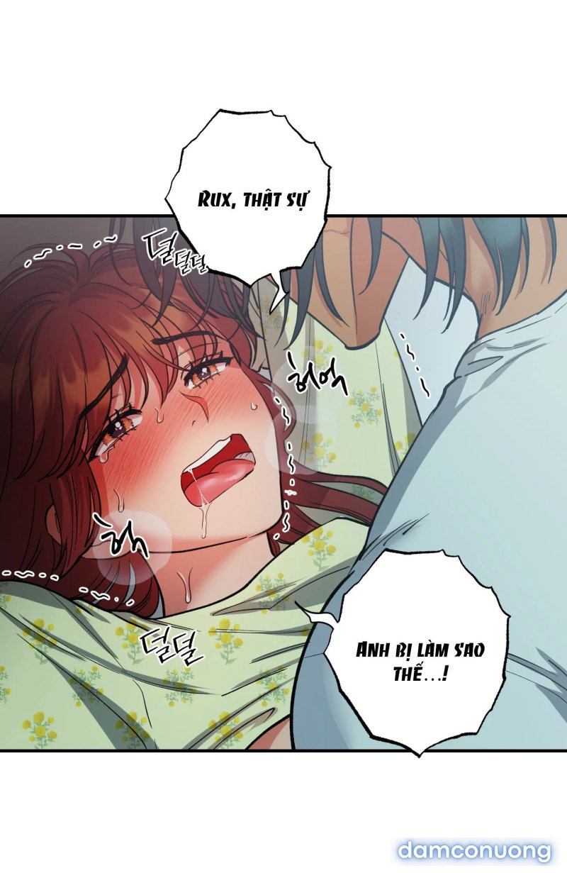 Một Lòng Một Dạ 