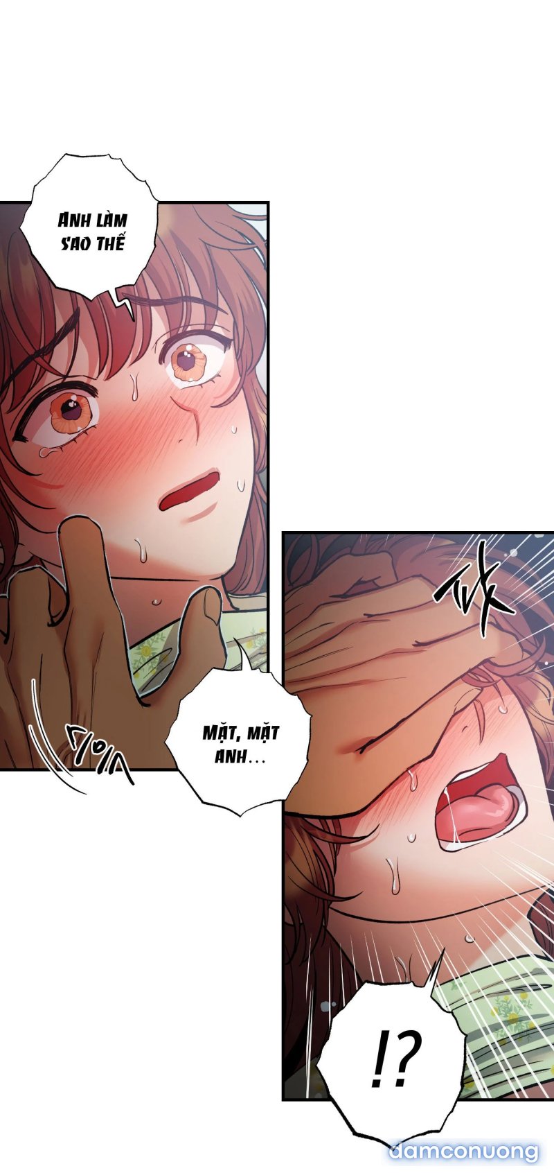 Một Lòng Một Dạ 