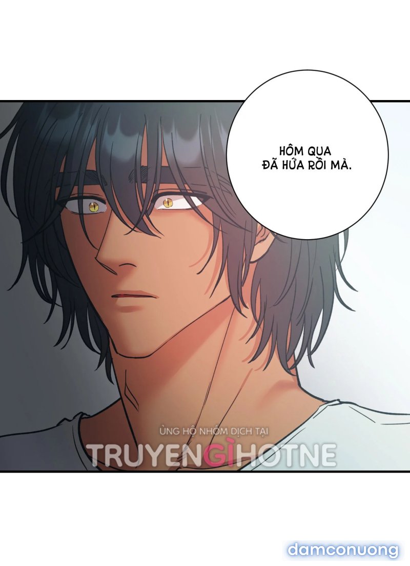 Một Lòng Một Dạ 