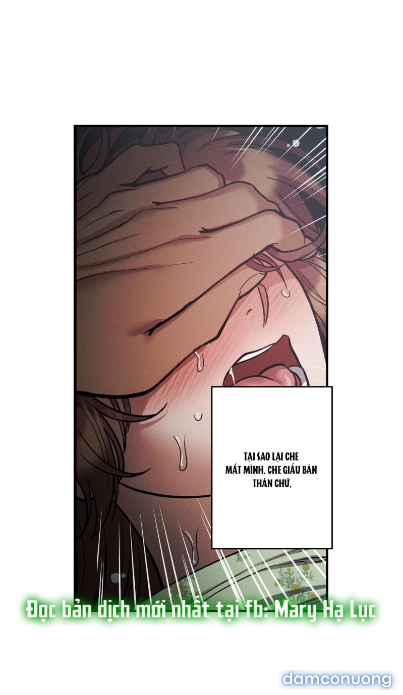 Một Lòng Một Dạ 