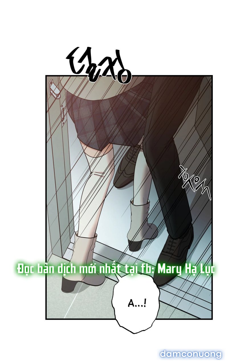 Một Lòng Một Dạ 