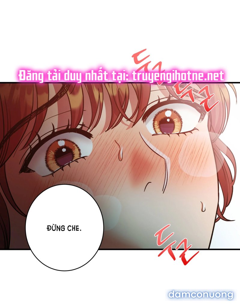 Một Lòng Một Dạ 