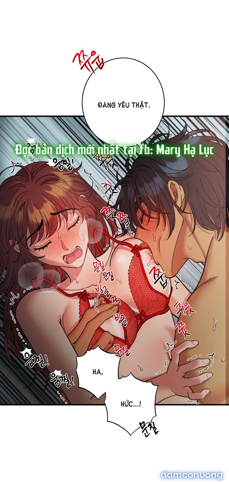 Một Lòng Một Dạ 