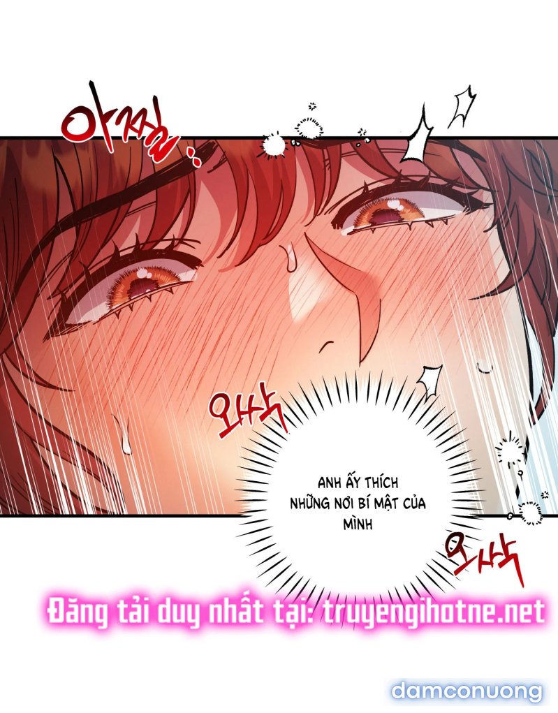 Một Lòng Một Dạ 