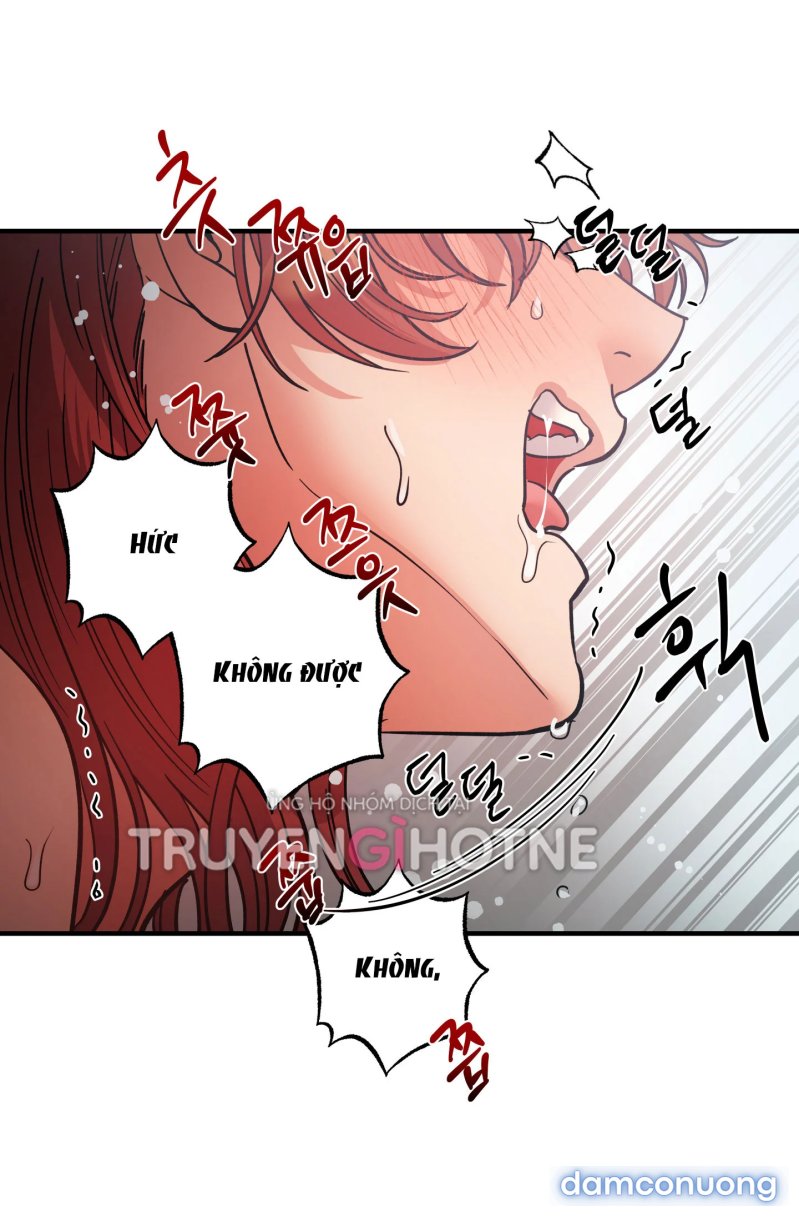 Một Lòng Một Dạ 