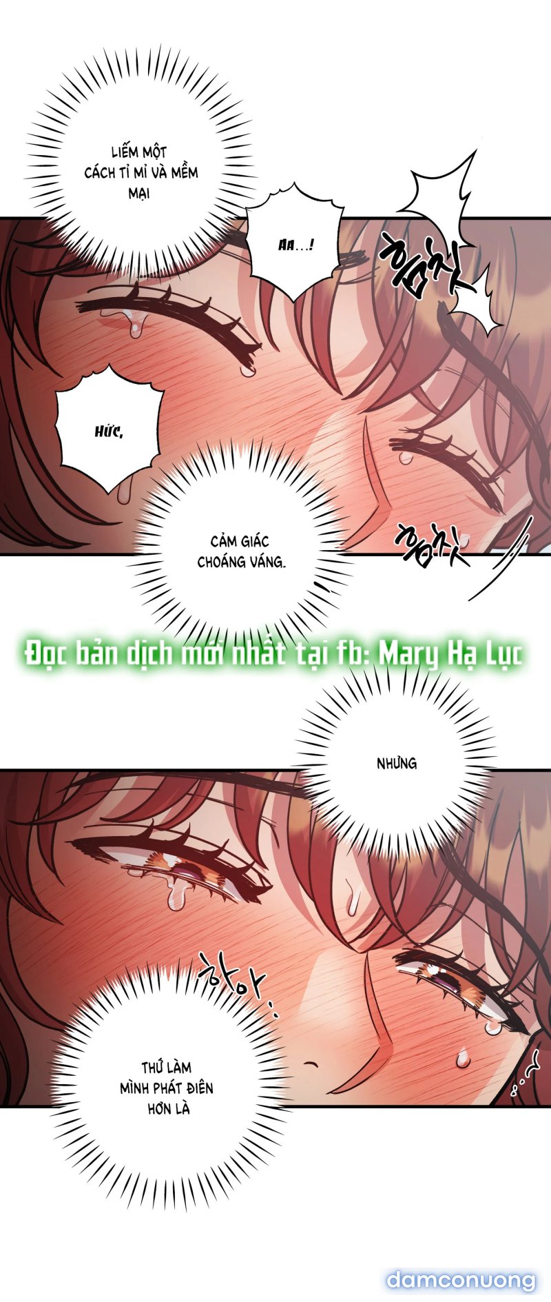 Một Lòng Một Dạ 