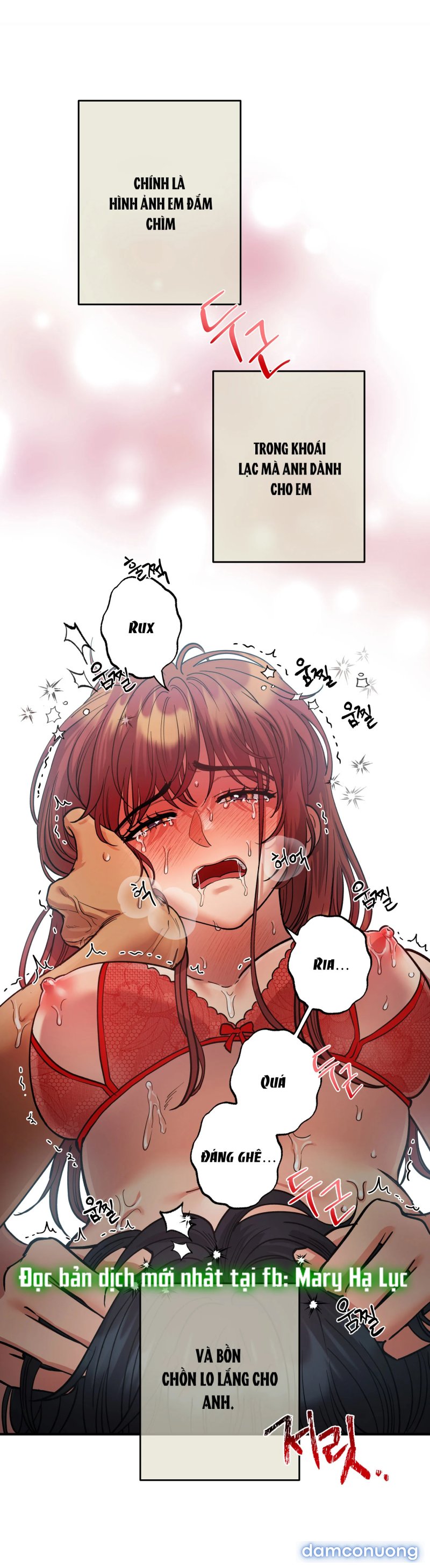 Một Lòng Một Dạ 