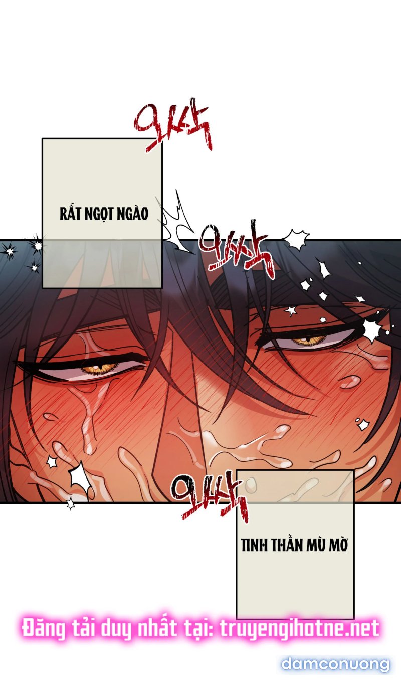Một Lòng Một Dạ 