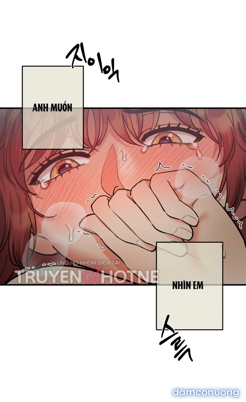 Một Lòng Một Dạ 