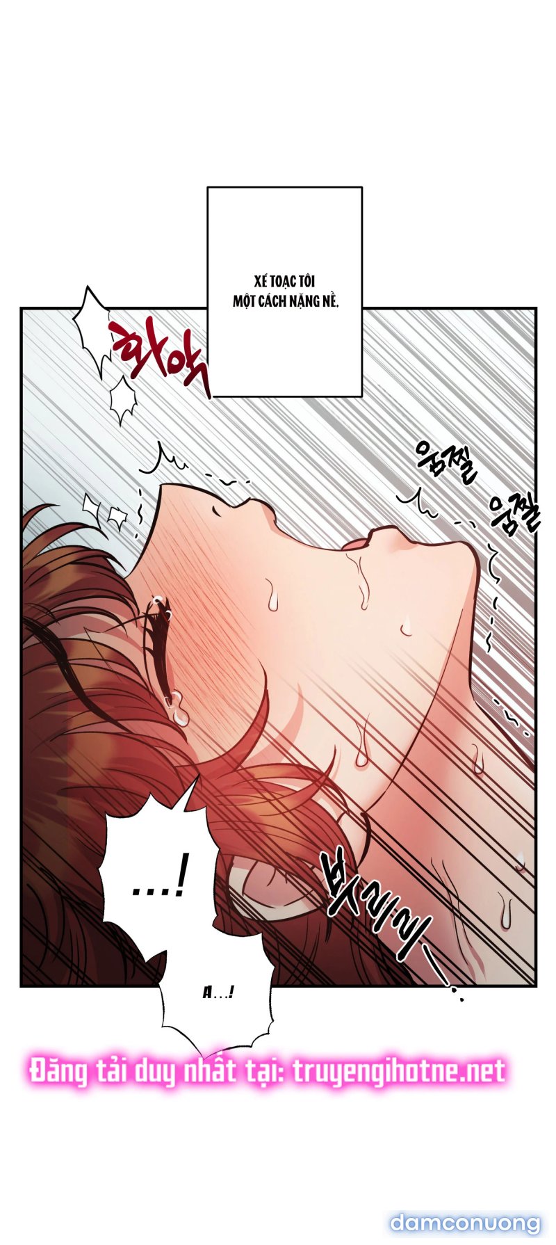 Một Lòng Một Dạ 