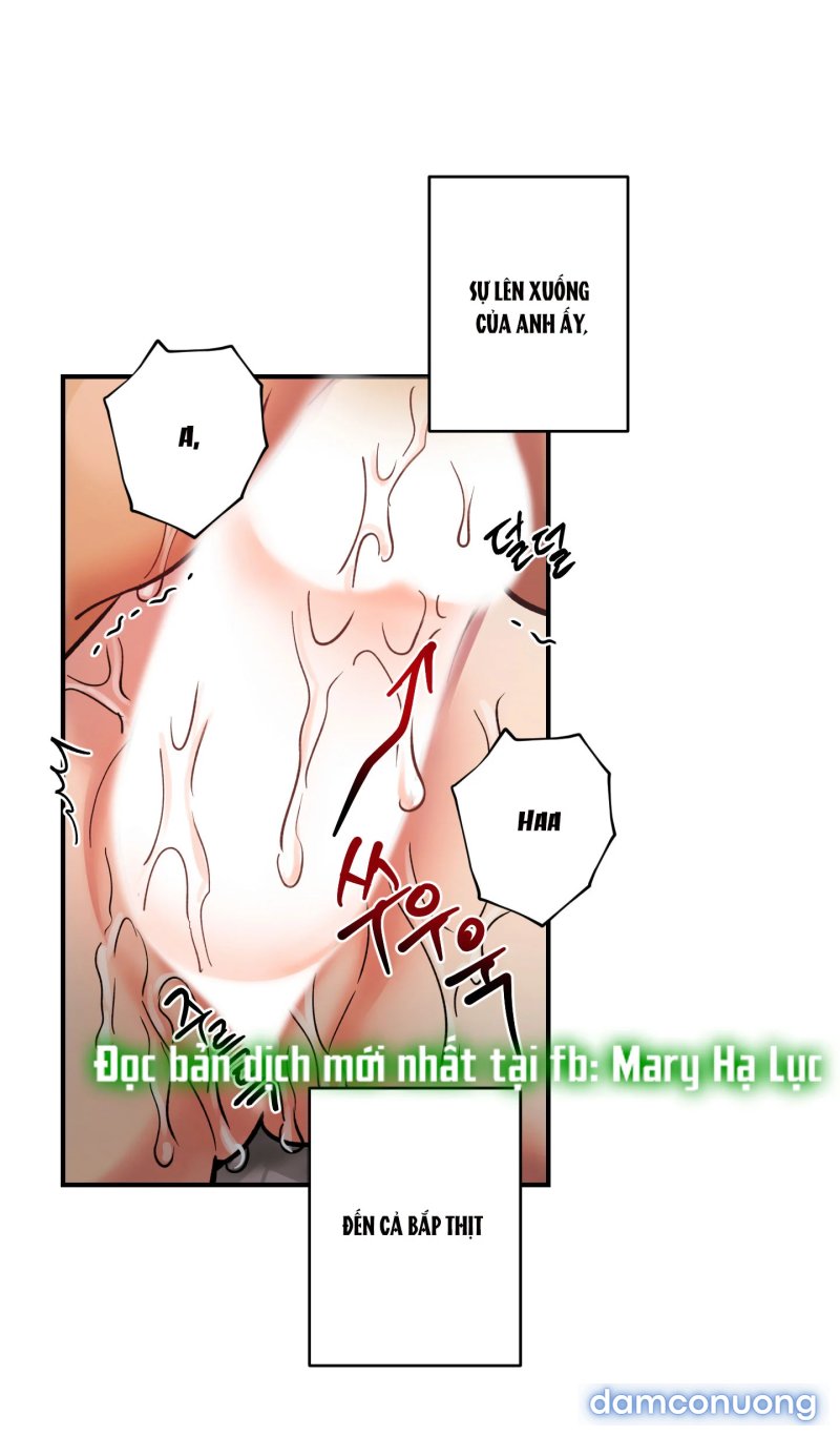 Một Lòng Một Dạ 