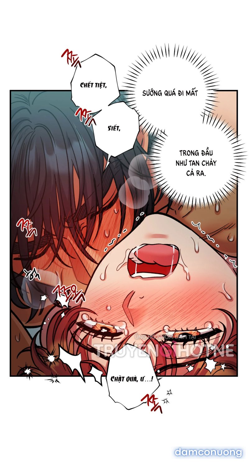 Một Lòng Một Dạ 