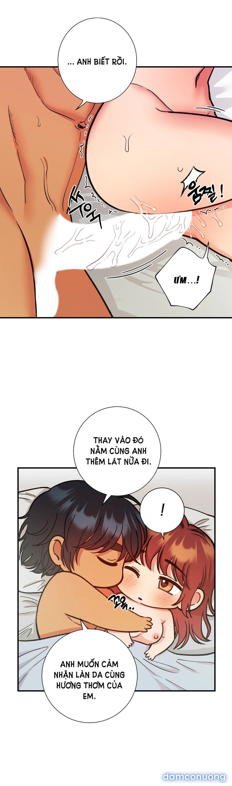 Một Lòng Một Dạ 