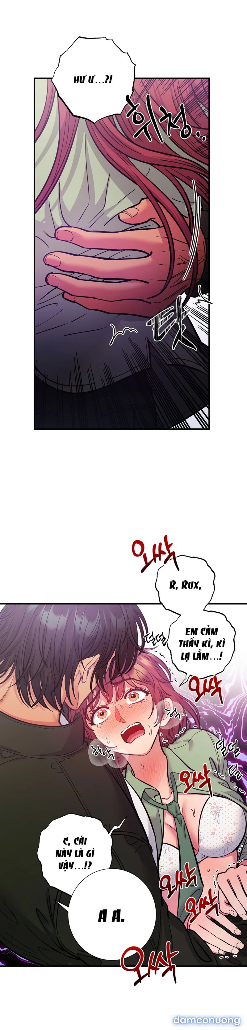 Một Lòng Một Dạ 