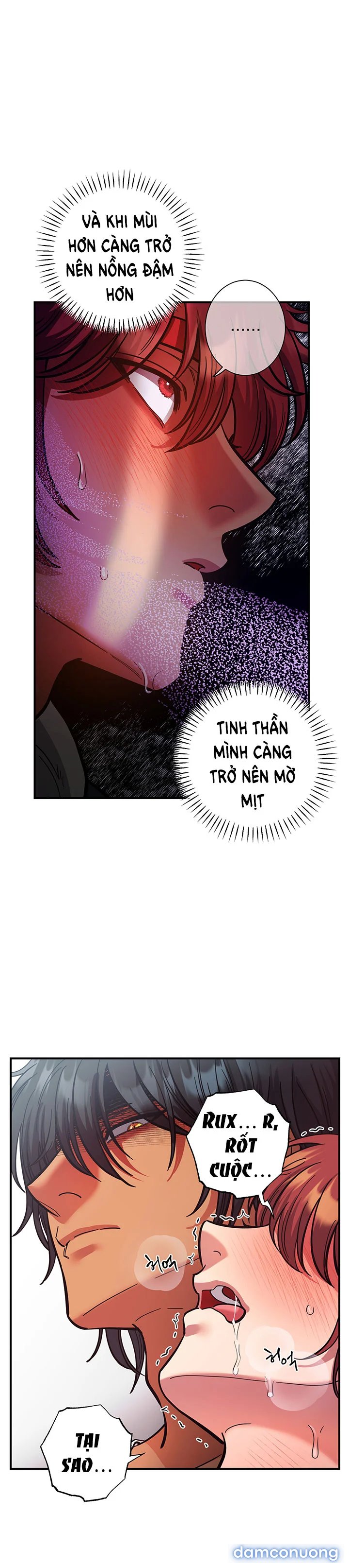 Một Lòng Một Dạ 