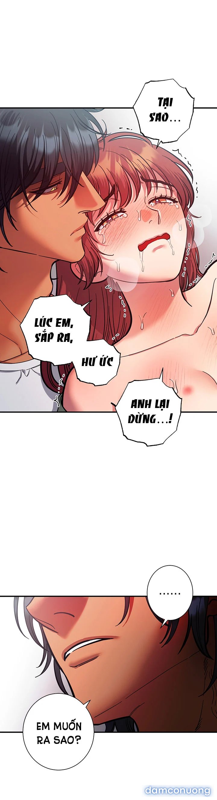 Một Lòng Một Dạ 