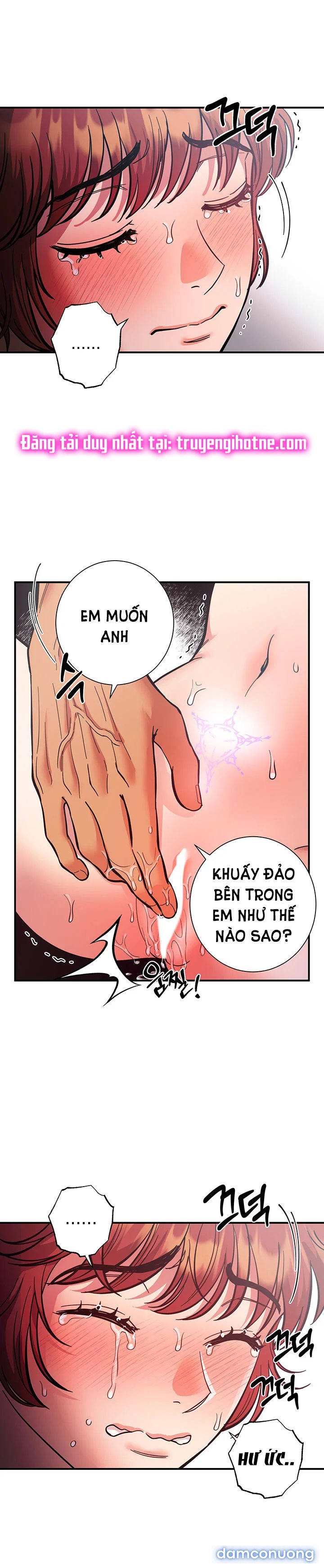 Một Lòng Một Dạ 