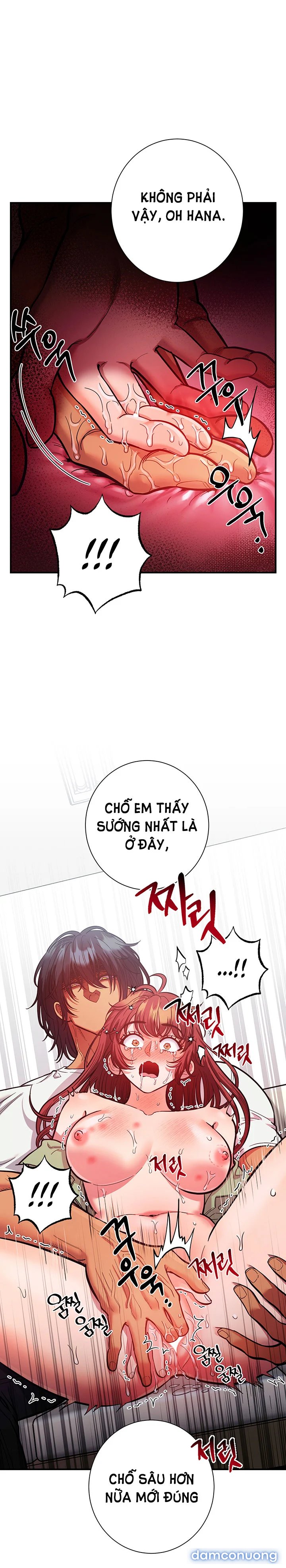 Một Lòng Một Dạ 
