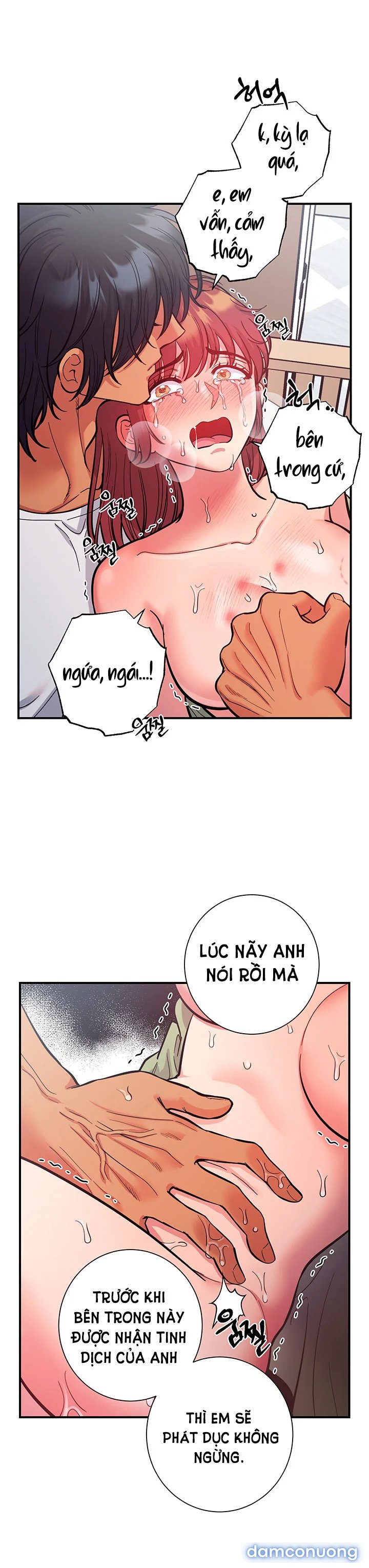Một Lòng Một Dạ 