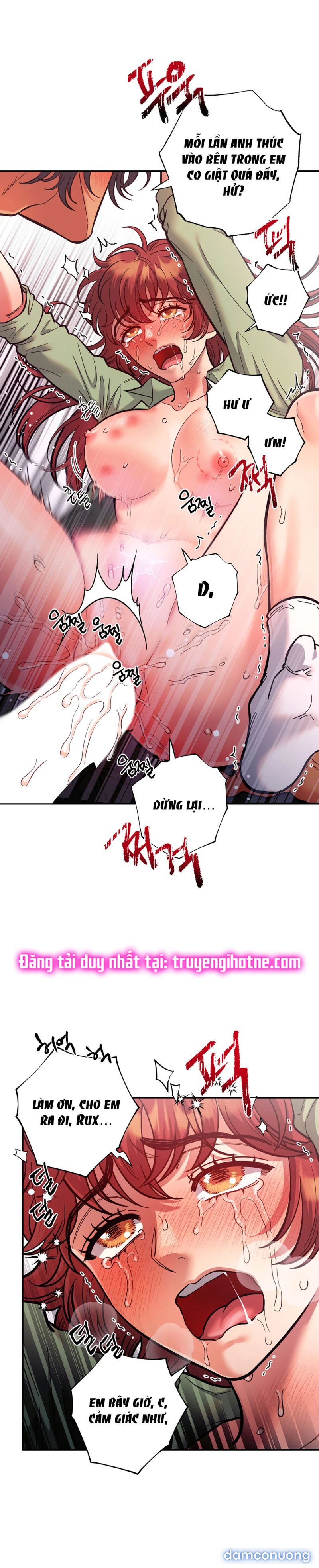 Một Lòng Một Dạ 