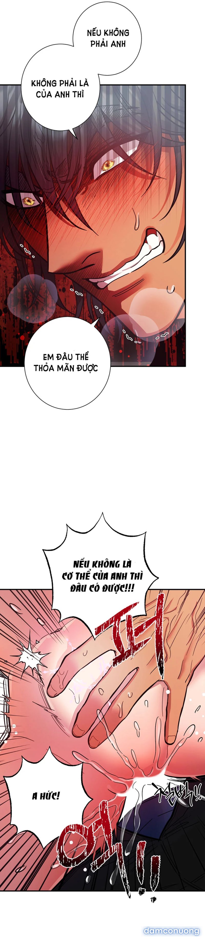 Một Lòng Một Dạ 