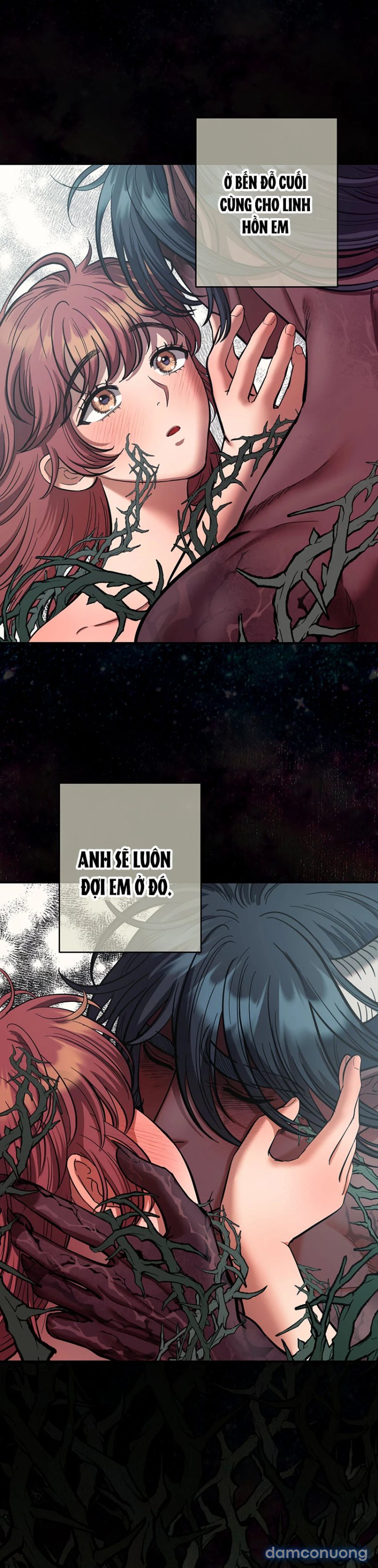 Một Lòng Một Dạ 