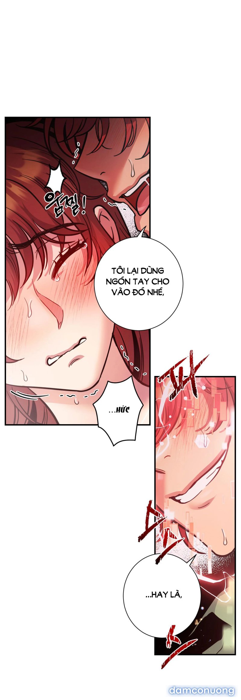 Một Lòng Một Dạ 