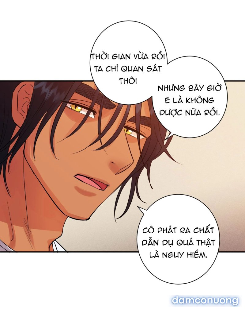 Một Lòng Một Dạ 
