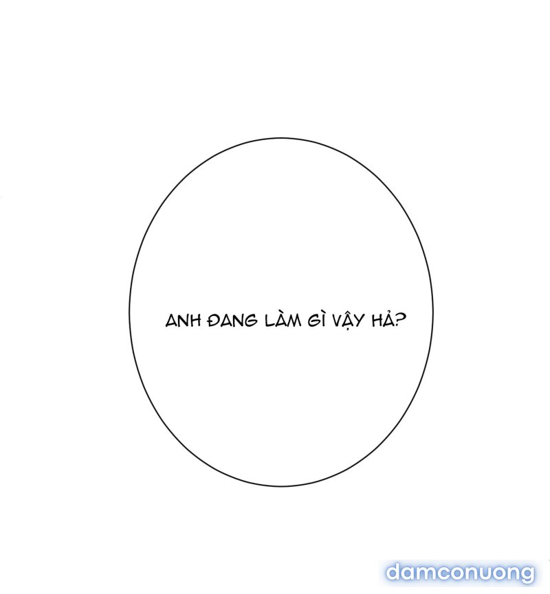 Một Lòng Một Dạ 