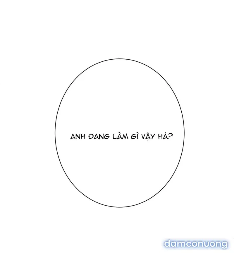 Một Lòng Một Dạ 