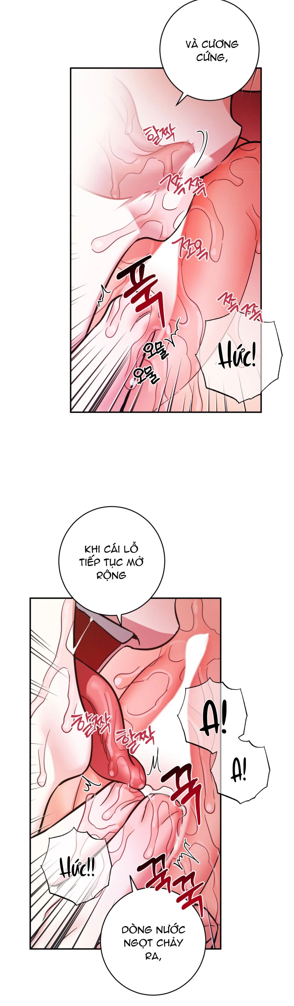 Một Lòng Một Dạ 