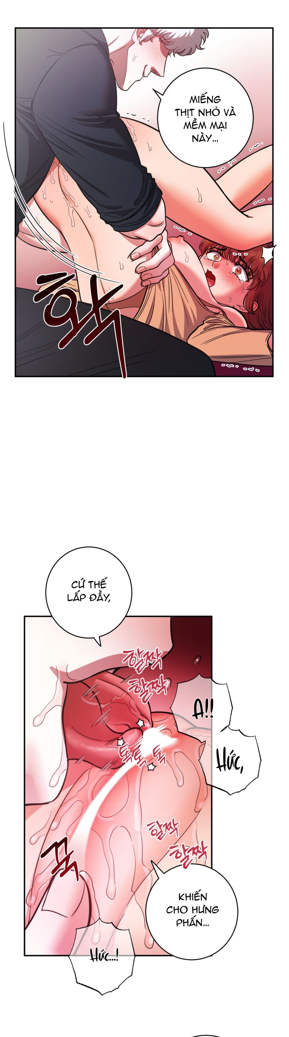 Một Lòng Một Dạ 