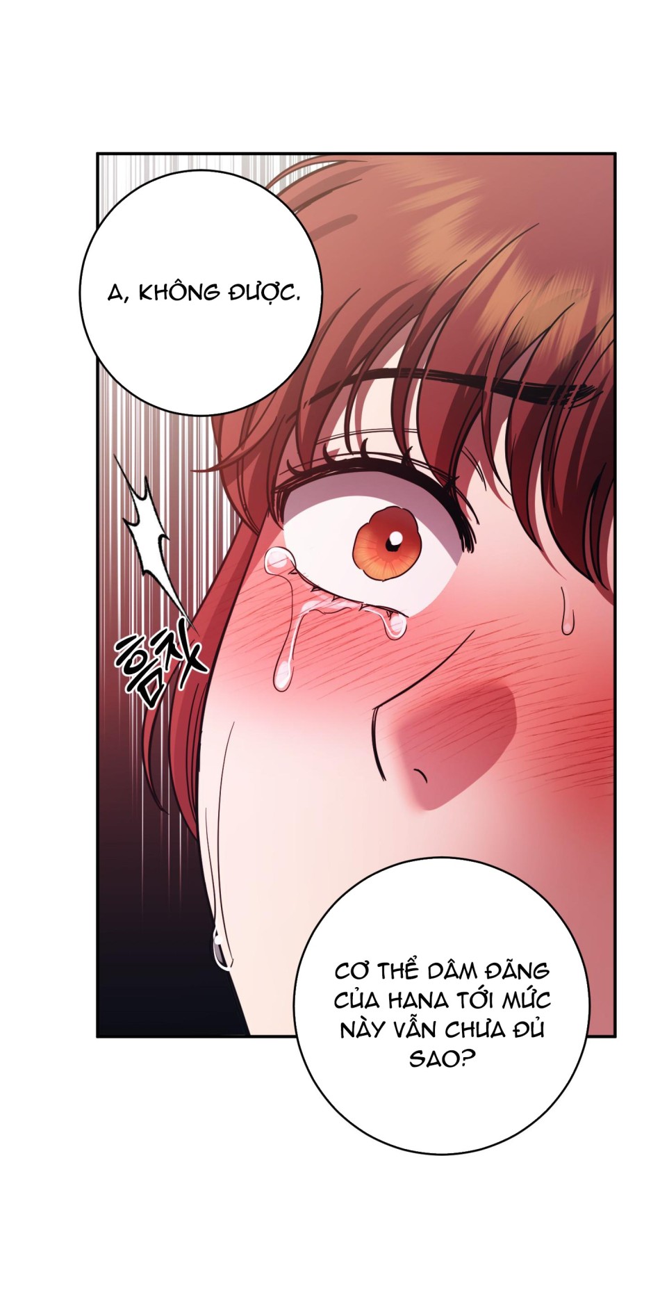 Một Lòng Một Dạ 