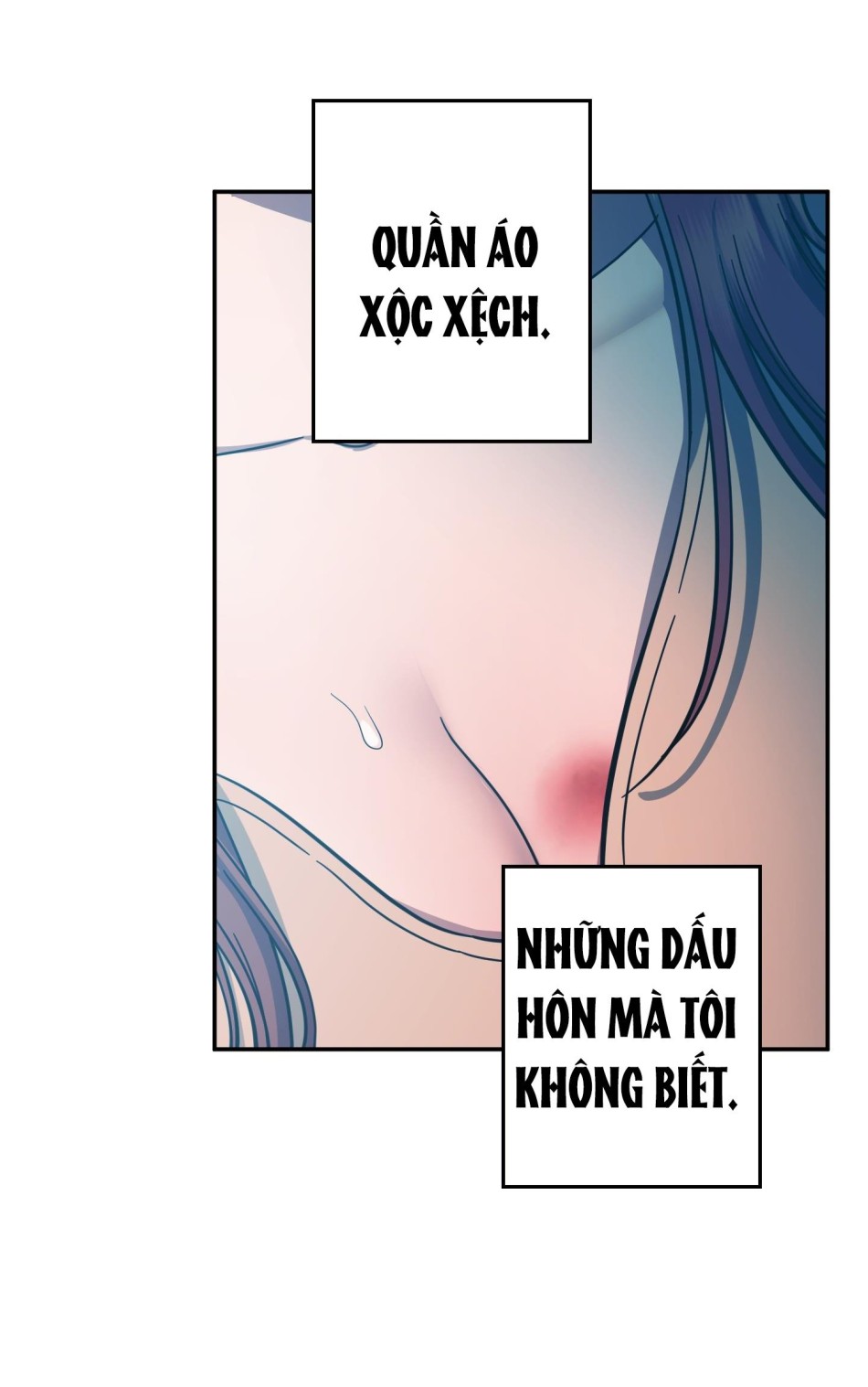 Một Lòng Một Dạ 