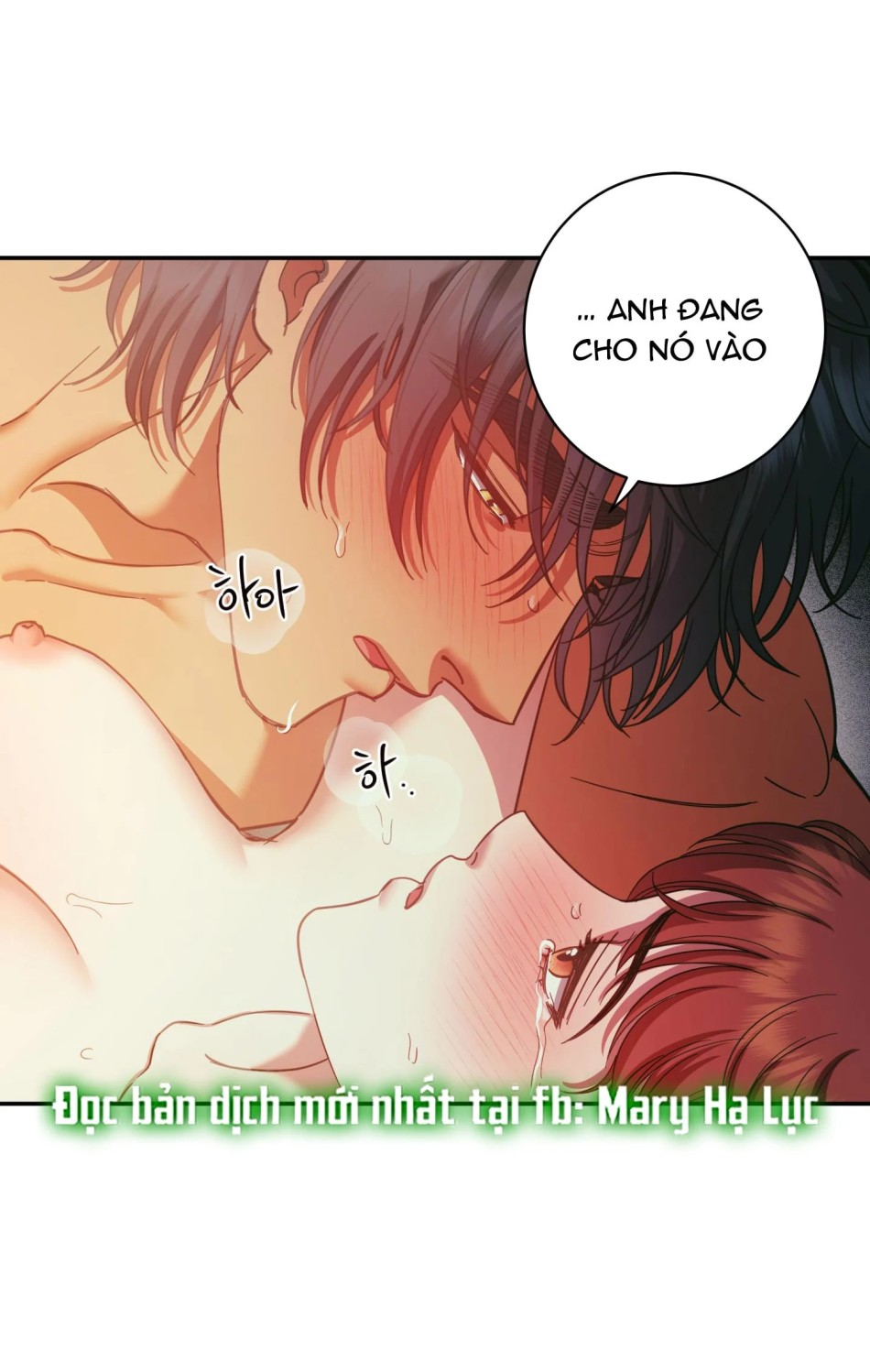 Một Lòng Một Dạ 