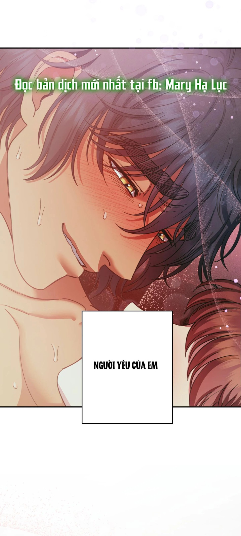 Một Lòng Một Dạ 