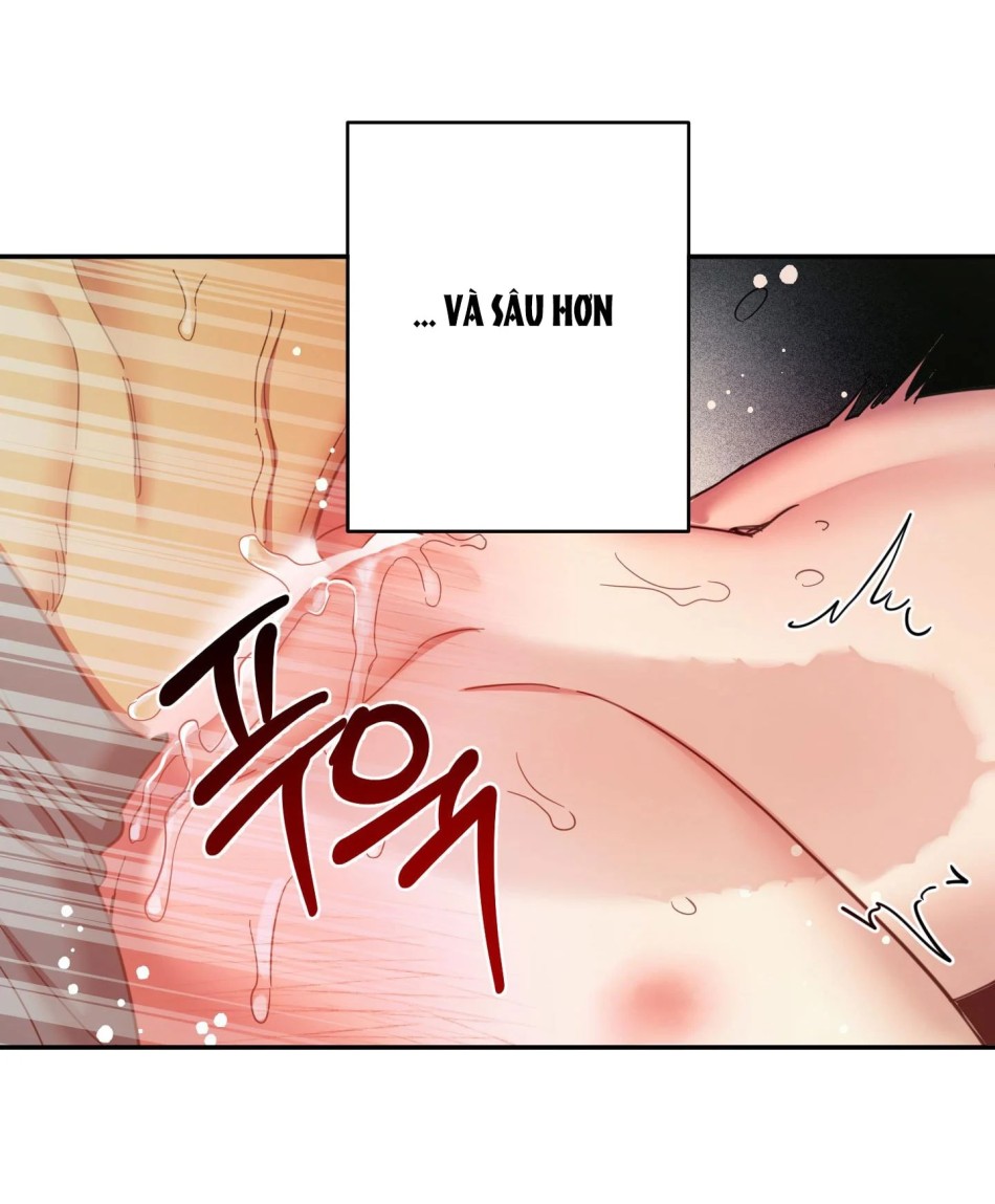 Một Lòng Một Dạ 