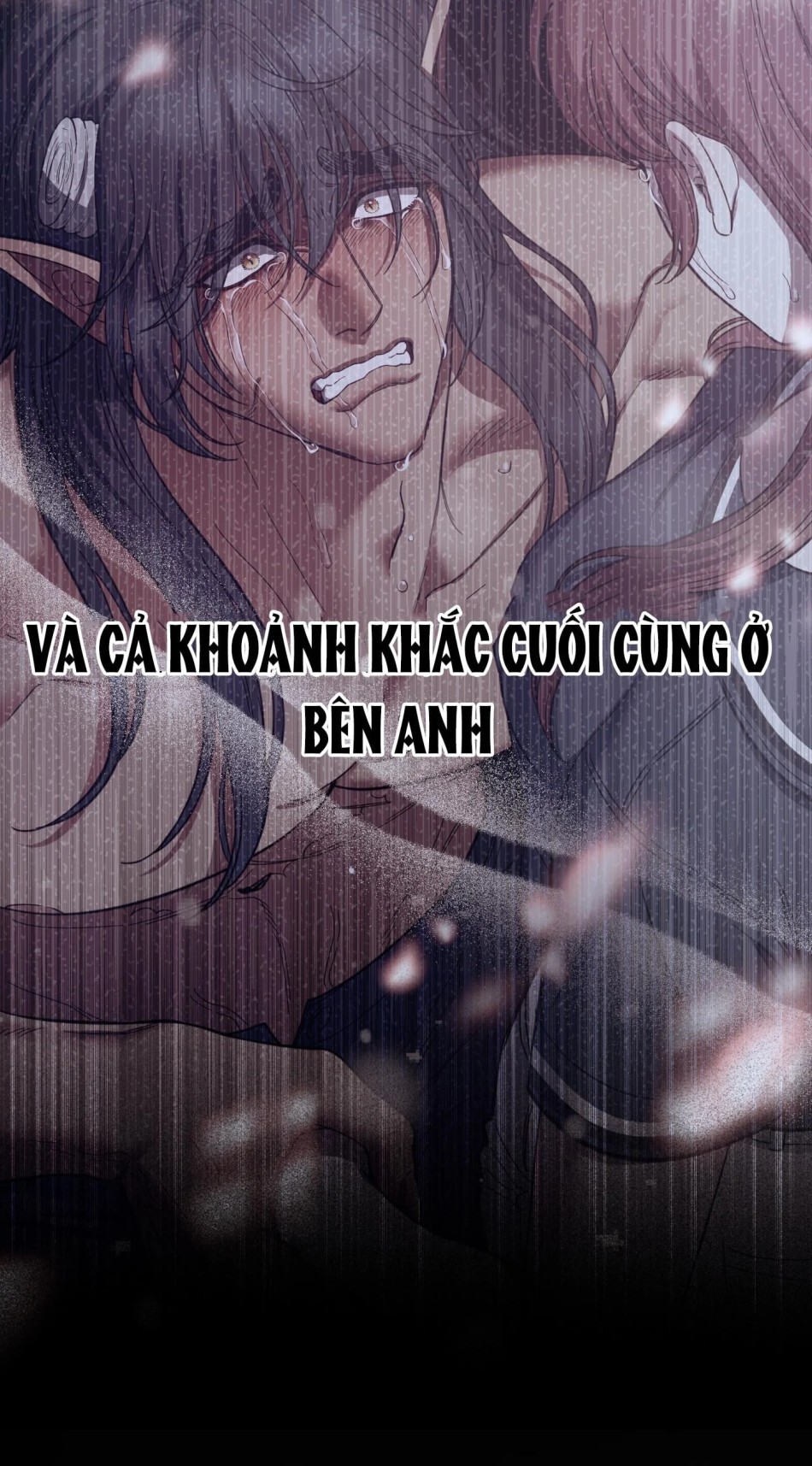 Một Lòng Một Dạ 