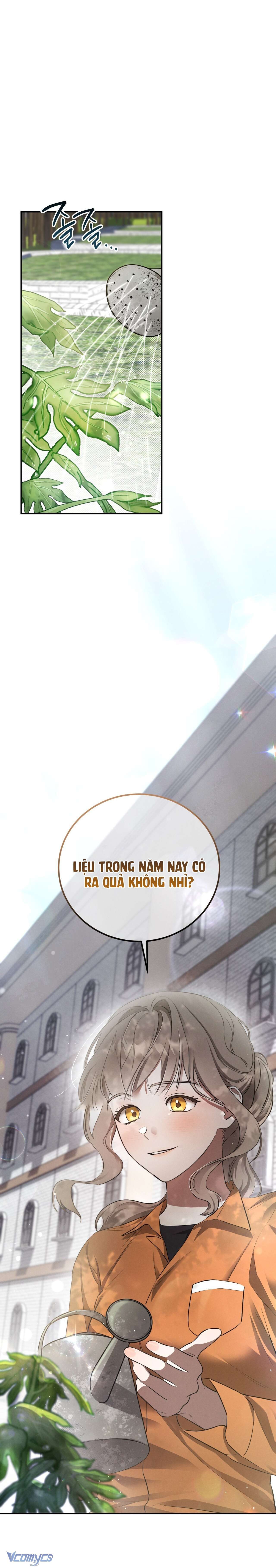 Tình Yêu Chốn Ngục Tù 