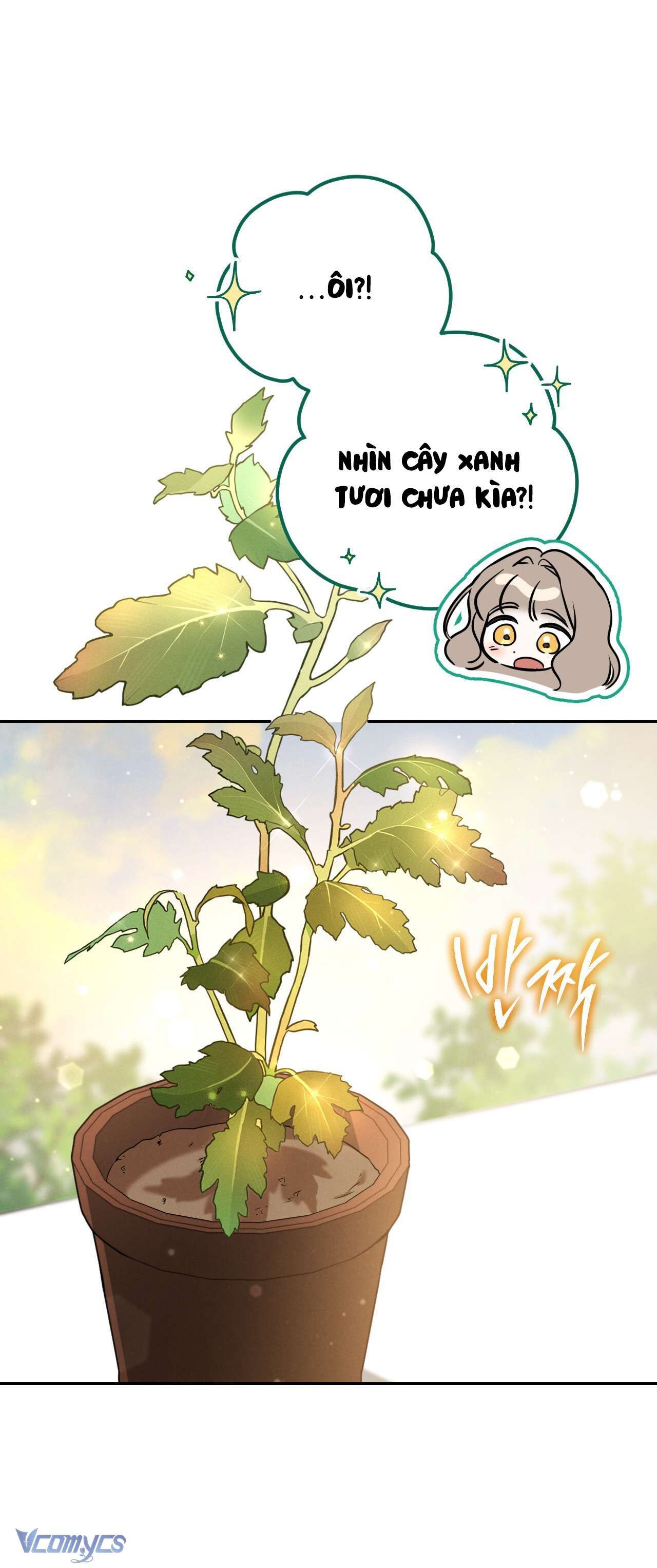 Tình Yêu Chốn Ngục Tù 