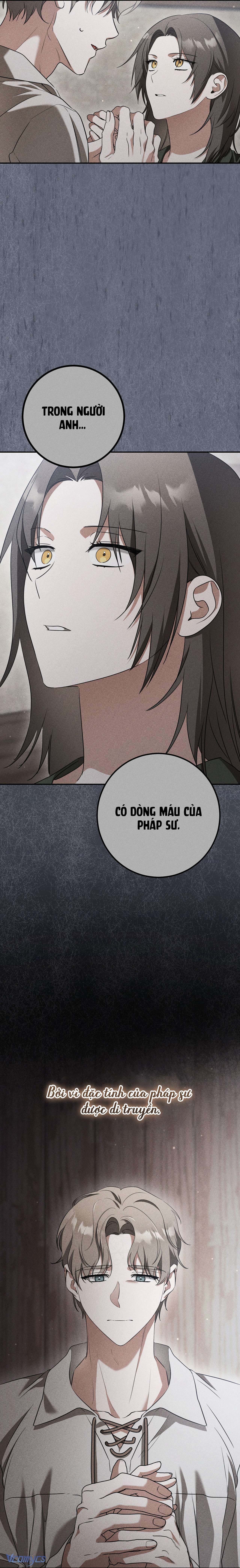 Tình Yêu Chốn Ngục Tù 
