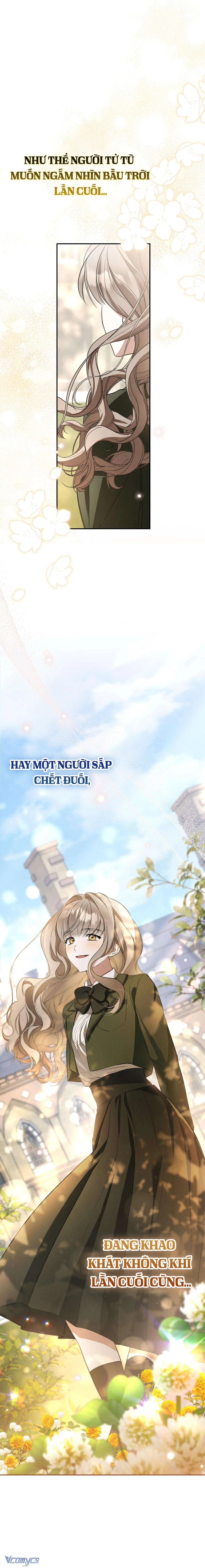 Tình Yêu Chốn Ngục Tù 
