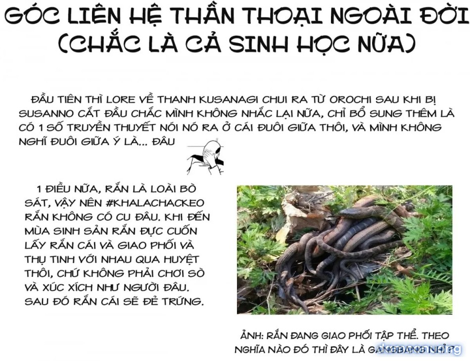 Đấu trường Hoa hồng [Rosengarten Saga; Rozengaten Saga; Rosen Garten Saga] 