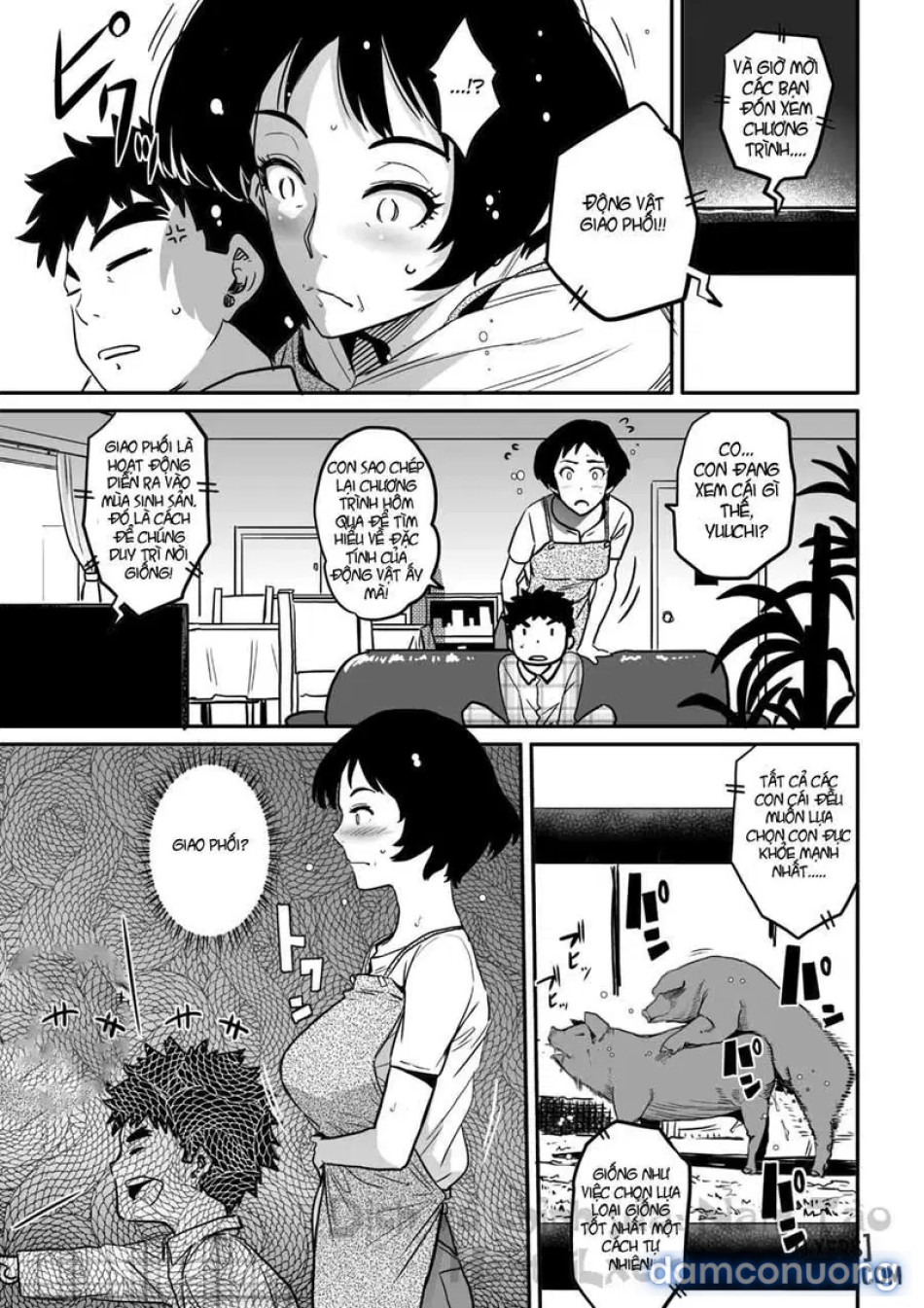 Hahaoya Shikkaku - Watashi to Musuko no Mesu Buta Netorare Fukushuugeki 