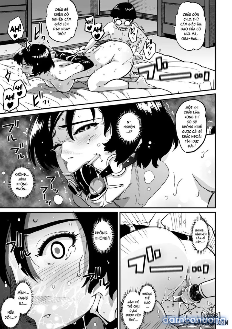Hahaoya Shikkaku - Watashi to Musuko no Mesu Buta Netorare Fukushuugeki 