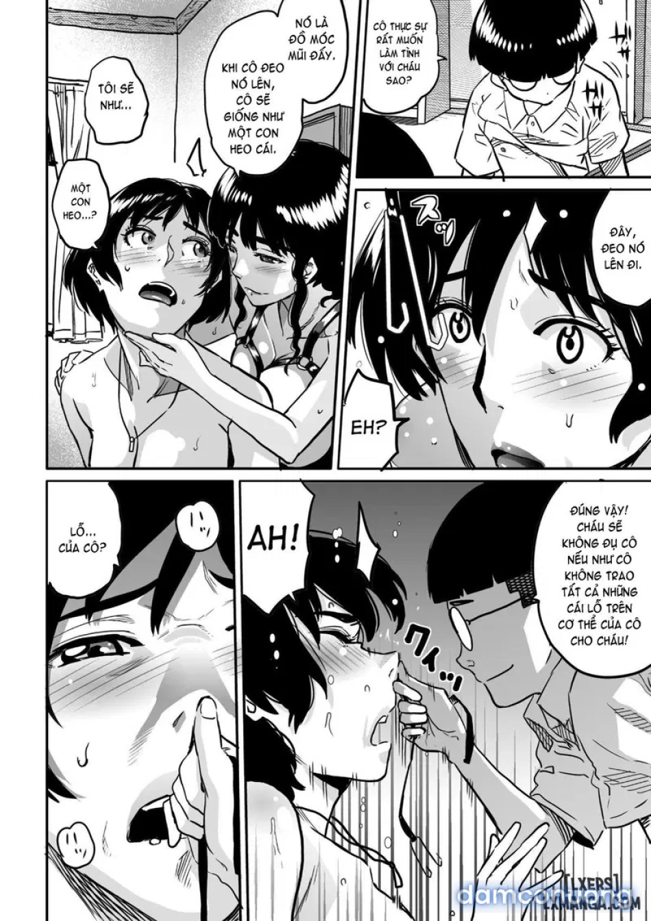 Hahaoya Shikkaku - Watashi to Musuko no Mesu Buta Netorare Fukushuugeki 