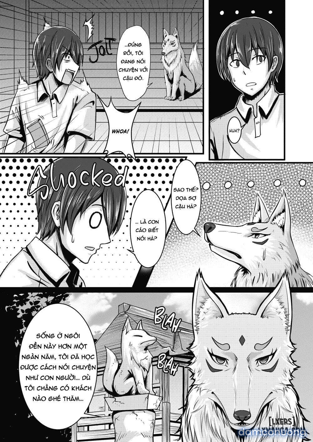Fox Bride 