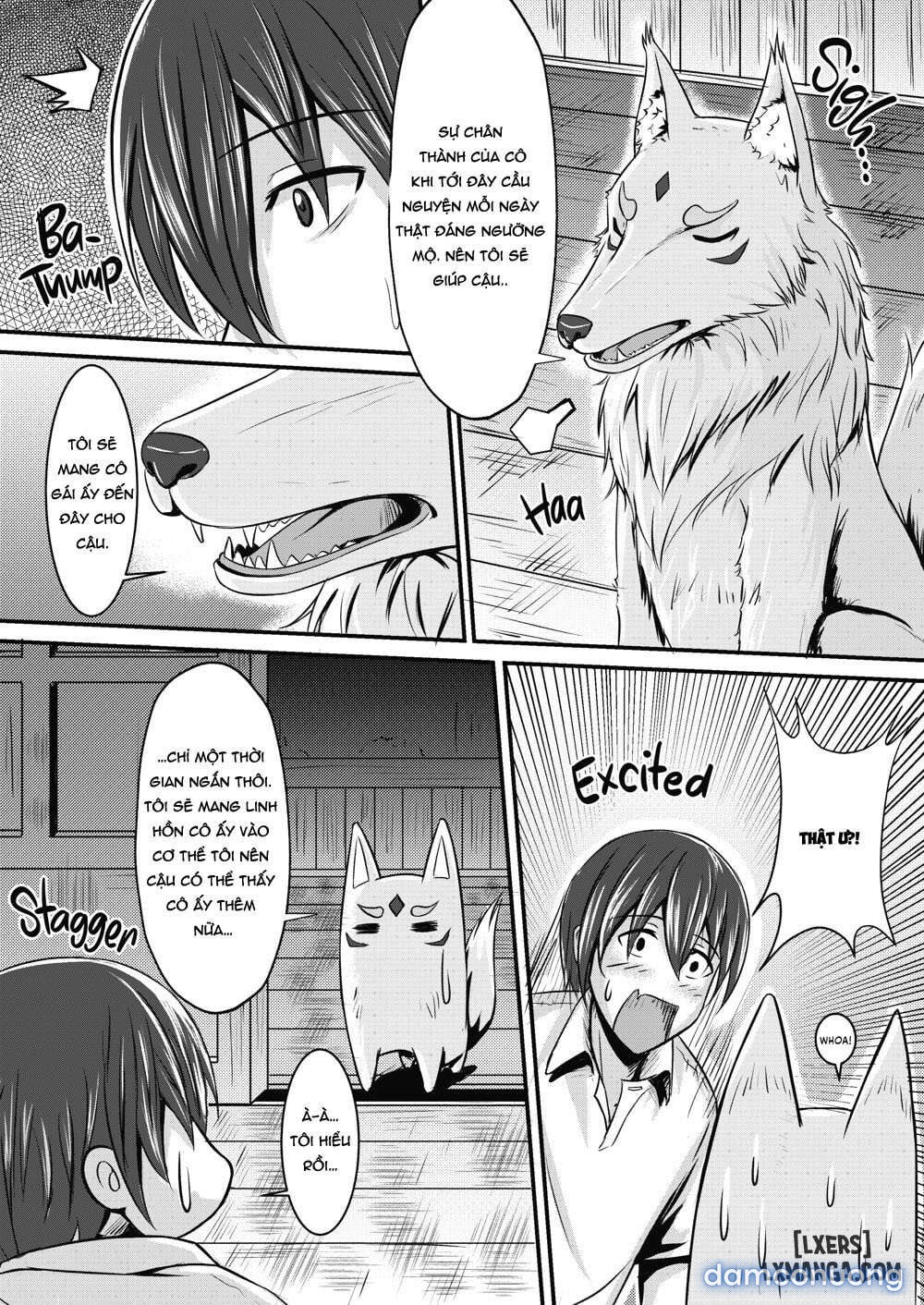 Fox Bride 